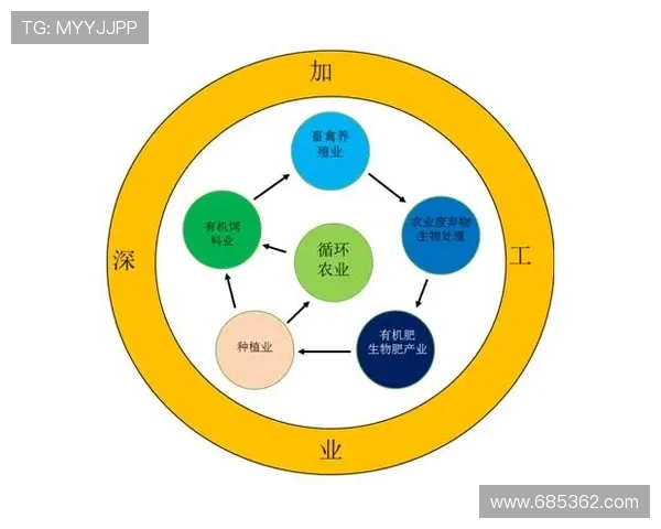 体育旅游目的地可持续发展路径